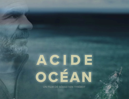 Prix du jury pour Acide Océan